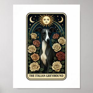 Italienisches Windspiel Poster