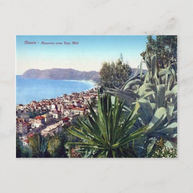 Italy,  Alassio, Cactus on the hillside Postkarte (Vorderseite)