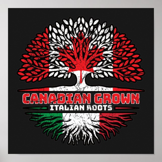 Italy Italian Canadian Canada Tree Roots Flag Poster (Vorne)