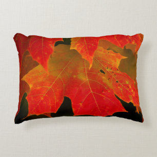 Itasca Staat Park, Herbstfarben 2 Dekokissen