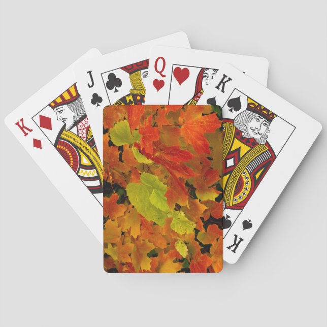 Itasca Staat Park, Herbstfarben Spielkarten (Rückseite)