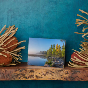 Itasca Staat Park, Minnesota Fotoplatte