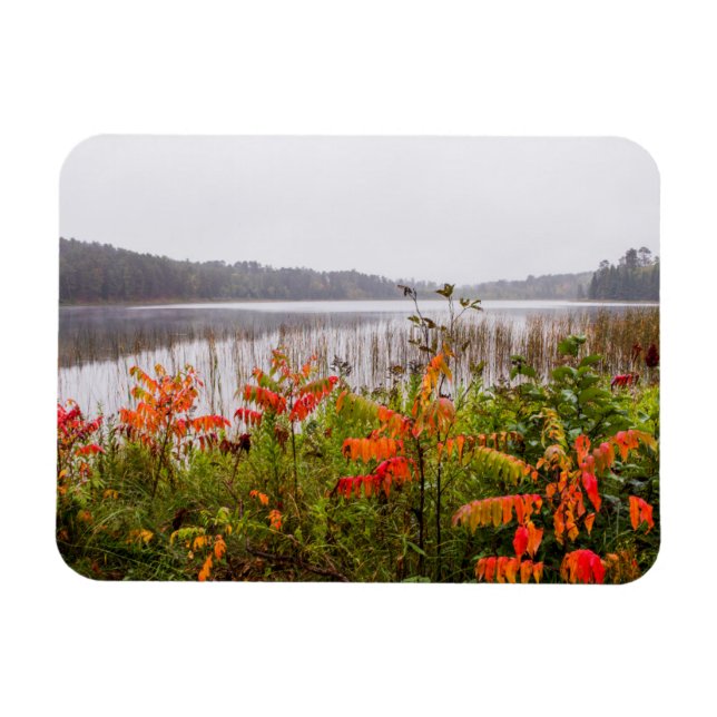 Itasca Staat Park | Minnesota Magnet (Horizontal)
