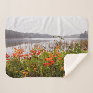 Itasca Staat Park Minnesota Sherpadecke