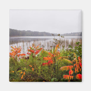 Itasca State Park Minnesota Magnet
