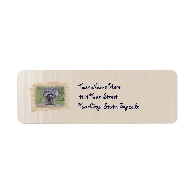 Itchin' & Scratchin' Raccoon (Vorne)