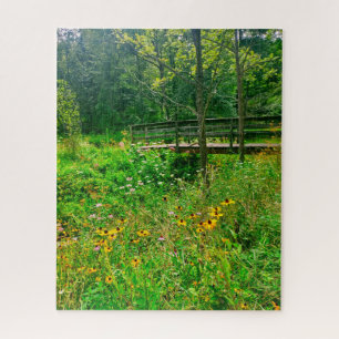 ITHACA NEW YORK NATURRESERVE PUZZLE