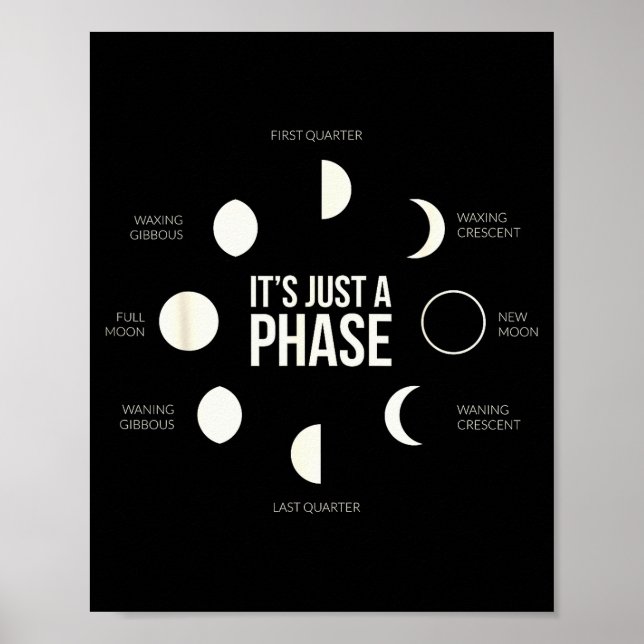 It's Just A Phase Lunar Phases New Moon Earth Hemi Poster (Vorne)