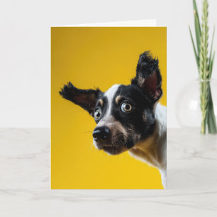 "It's The Dog" Geburtstag Karte