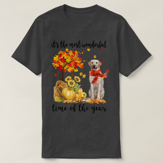 It's The Most Wonderful Autumn Time Labrador Pumpk T-Shirt (Design vorne)