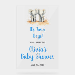 It's Twin Boys Baby Shower Welcome Acrl Acrylic Si Acrylschild