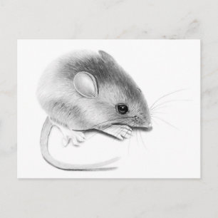 Itty Bitty Mouse Postkarte
