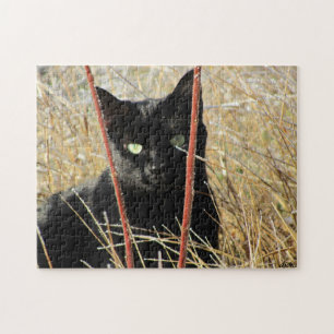 Ive, das gerahmt gewesen wird oder, addieren Ihr Puzzle