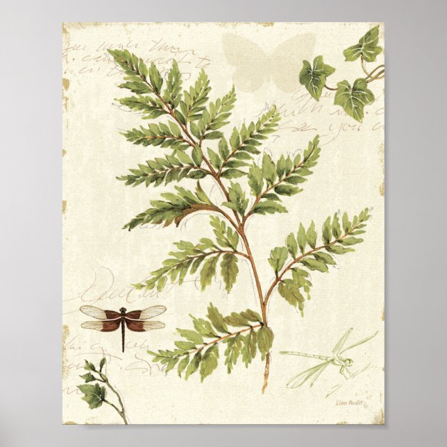 Ivies und Ferns Poster (Vorne)