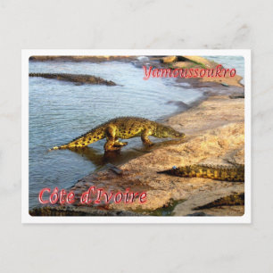 Ivory Coast - Yamoussoukro - Postkarte