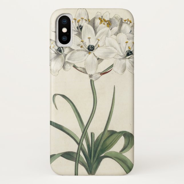 Ivory Garden Case-Mate iPhone Hülle (Rückseite)