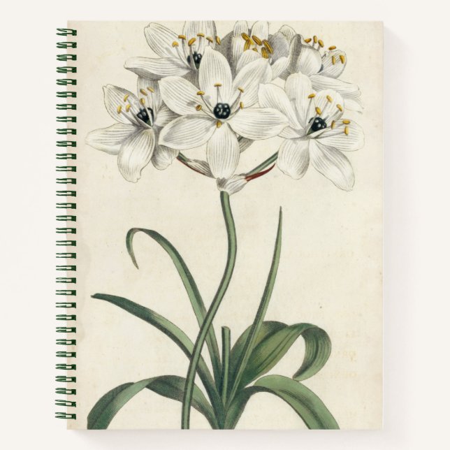 Ivory Garden Notizbuch (Vorderseite)