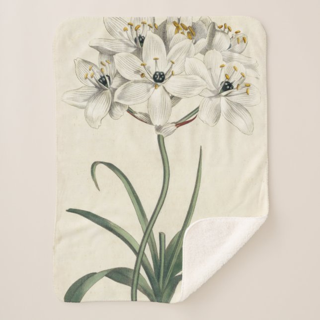 Ivory Garden Sherpadecke (Vorderseite)