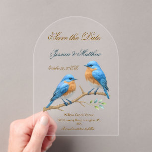 Ivory Pastel Lovebirds Romantische Bluebirds Hochz Acryleinladungen