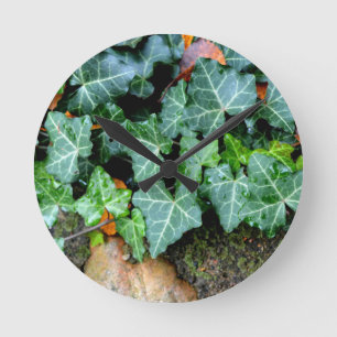 Ivy and field stone runde wanduhr