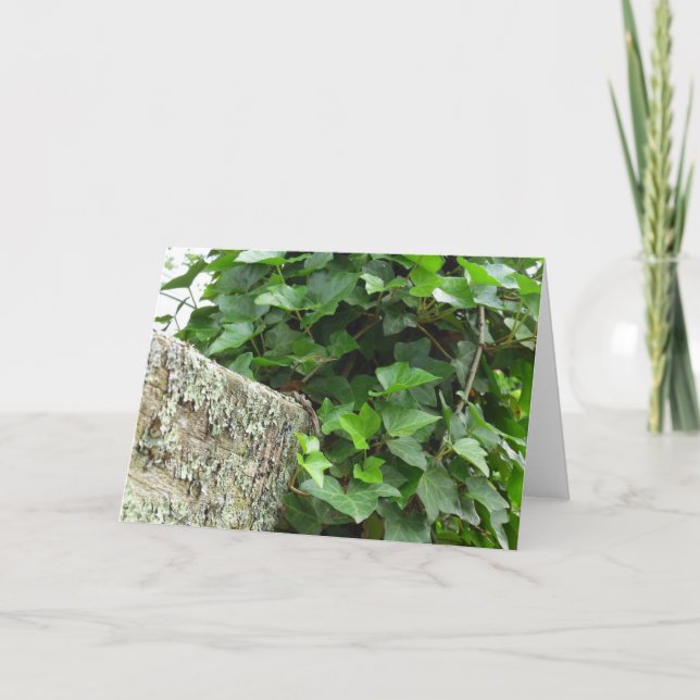 Ivy and Lichens - Martha's Vineyard Karte (Vorderseite)