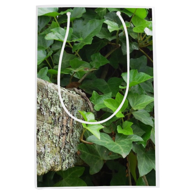 Ivy and Lichens - Martha's Vineyard Mittlere Geschenktüte (Vorderseite)