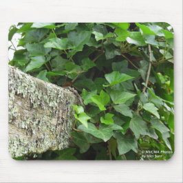 Ivy and Lichens - Martha's Vineyard Mousepad