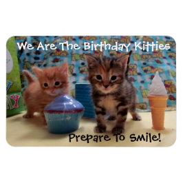 Ivy and Parker's Birthday Magnet - Katze / Kitten