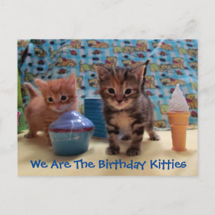 Ivy and Parker's Überraschung - Katze Geburtstag P Postkarte