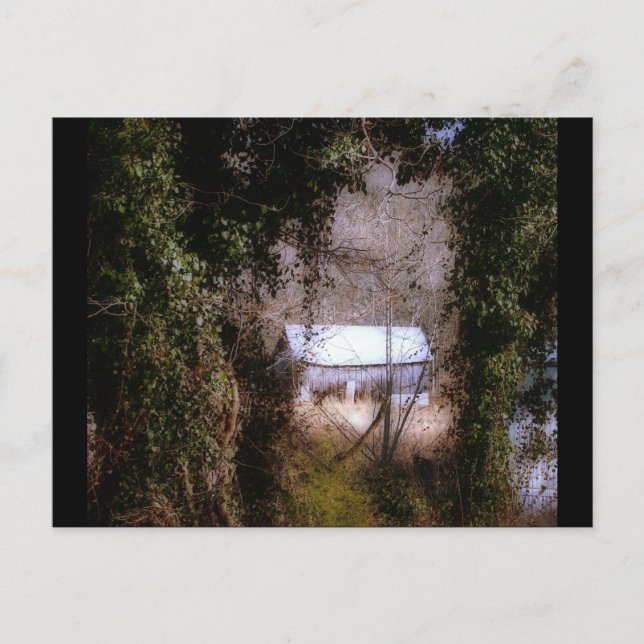 Ivy Barn Postkarte (Vorderseite)