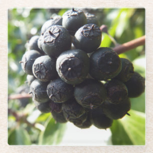 Ivy Berries Glass Untersetzer