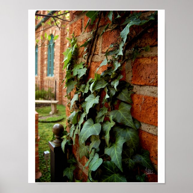 Ivy & Brick [Print] Poster (Vorne)