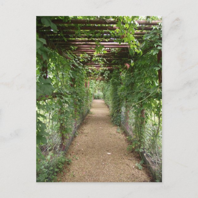 Ivy Covered Walkway Postkarte (Vorderseite)