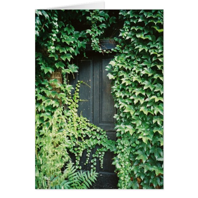 Ivy Door (Vorne)