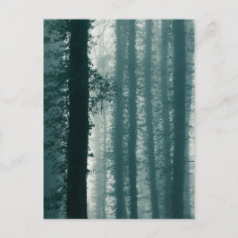 Ivy Forest Nature Foto Postkarte