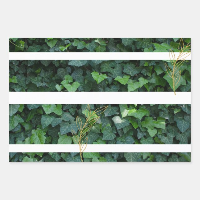 Ivy-Geschenkpackung Geschenkpapier Set (Vorderseite)