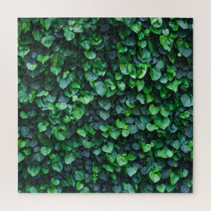 Ivy grüne Wand: natürliche Oberfläche. Puzzle