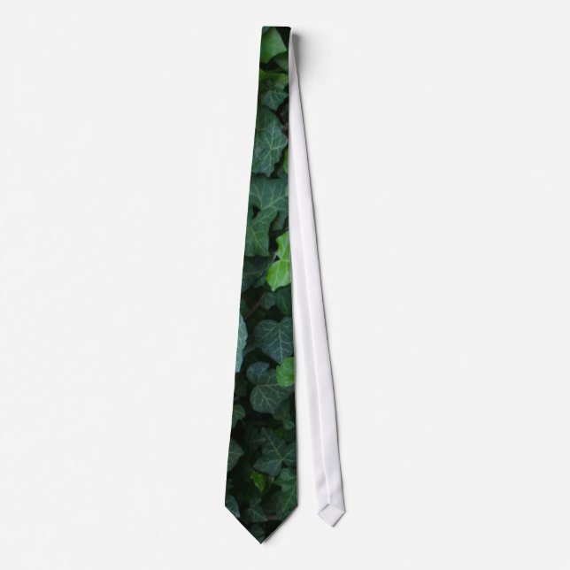 Ivy Krawatte (Vorderseite)