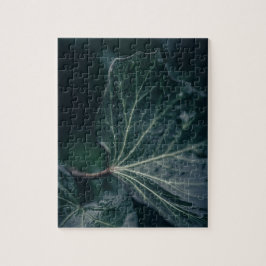 Ivy Leaf Nature Foto Puzzle