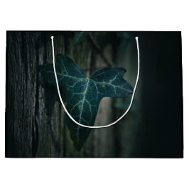 Ivy Nature Foto Große Geschenktüte