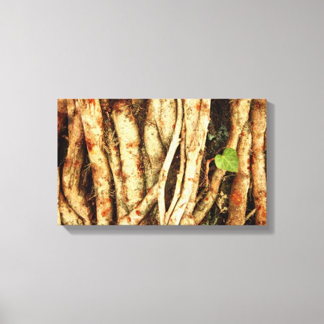 Ivy on Oak Leinwanddruck (Vorderseite)