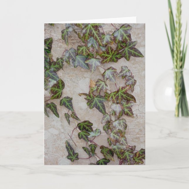Ivy on Tree Trunk Feiertagskarte (Vorderseite)
