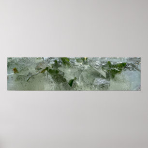 Ivy Poster