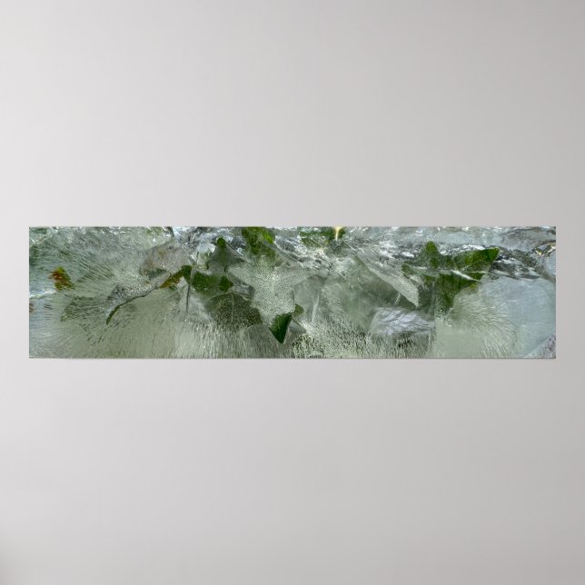 Ivy Poster (Vorne)