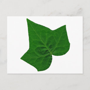 Ivy Postkarte