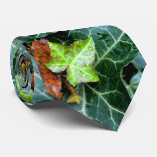 Ivy und Felsstein Krawatte