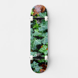 Ivy und Felsstein Skateboard
