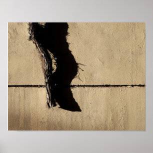 Ivy Vine und Shadow Poster