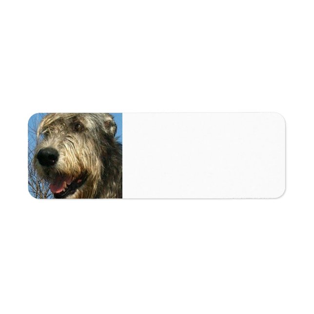 iw.png (Vorne)