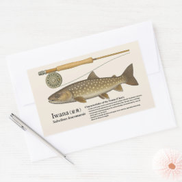 Iwana (Salvelinus leucomaenis) – Englische Illustr Rechteckiger Aufkleber